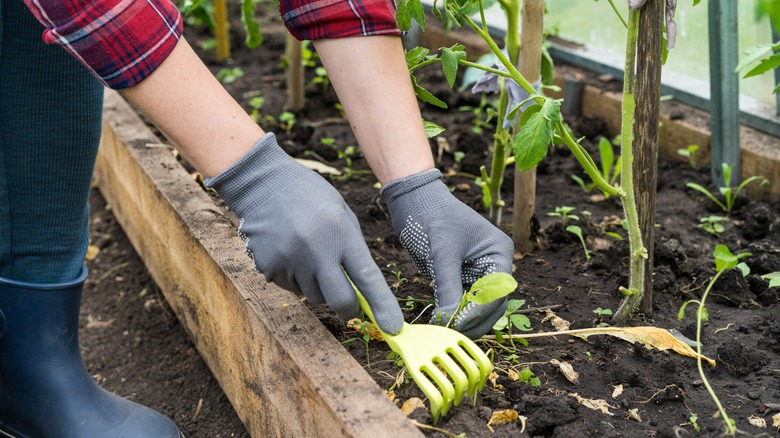pulling weeds by hand