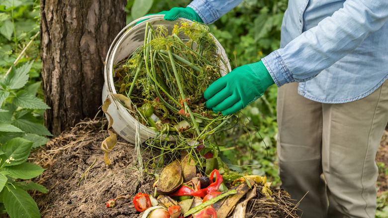 A bucket of compost filled with food scraps and lawn clippings