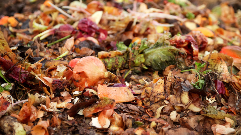 A close-up of a fresh compost pile with a mix of green and brown materials.