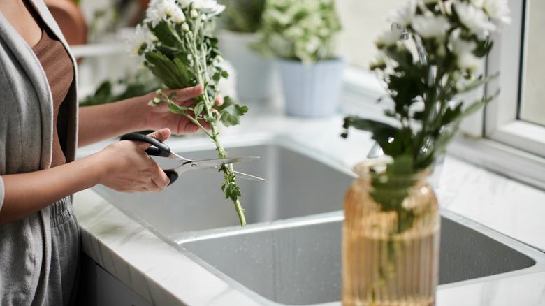 Woman cutting flowers on counter