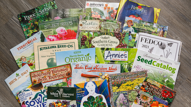 Group of seed catalogues 