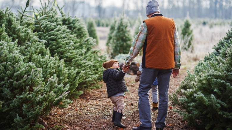 Father and two children walking through Christmas tree farm.