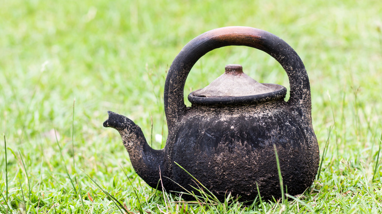 Tea kettle sitting on grass