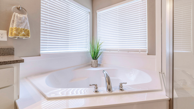 corner bathtub with plant