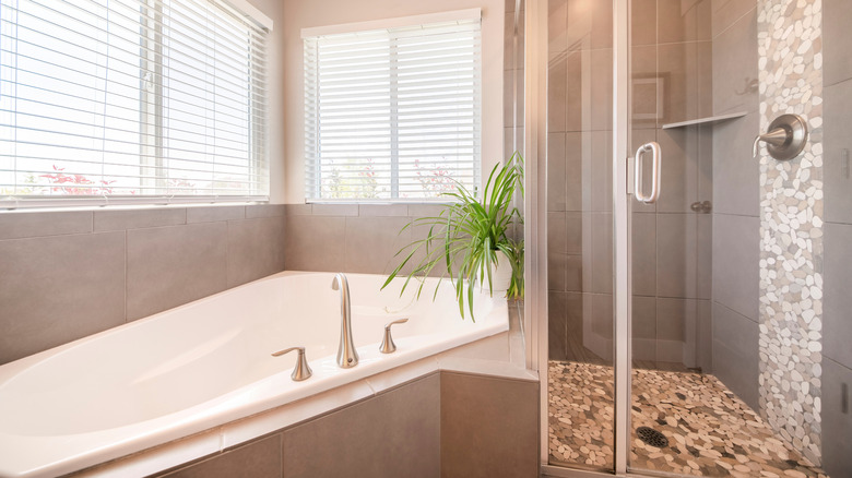 corner bathtub and separate shower
