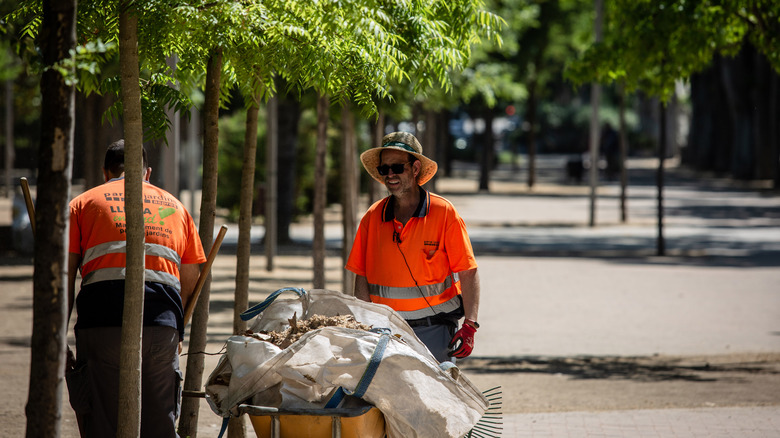 landscapers