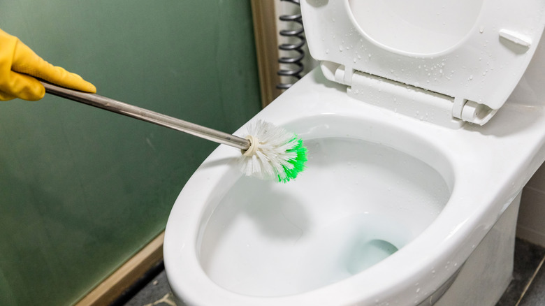 Someone cleaning the inside of a toilet bowl using a stiff-bristle brush