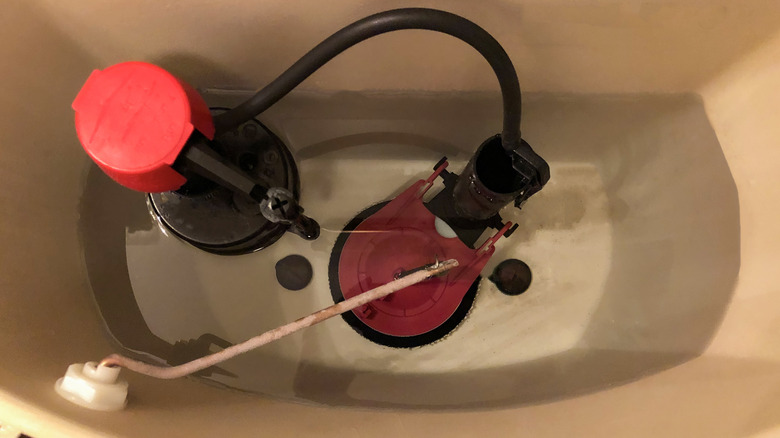 inside view of toilet tank