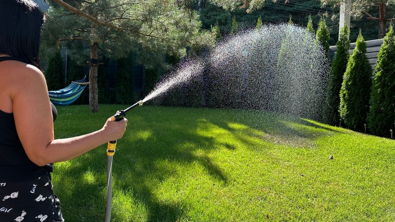 Woman watering her lawn with a hose; she wears a black sleeveless top