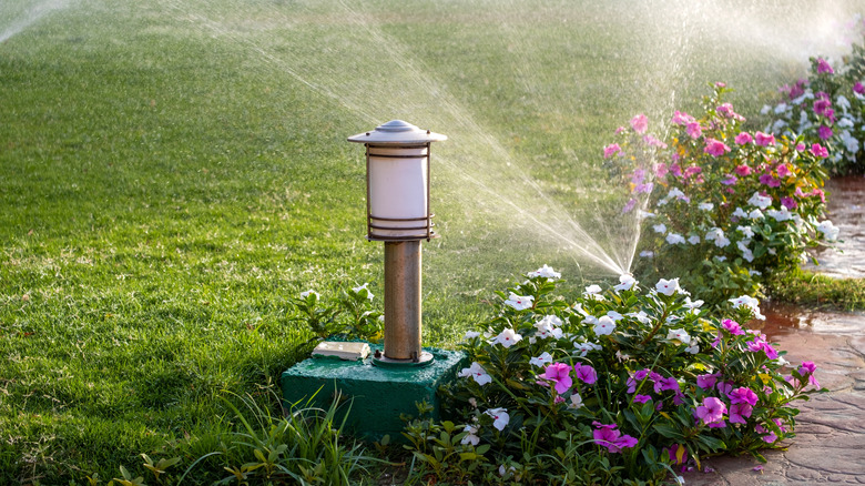Sprinkler watering lawn next to a row of colorful flowers