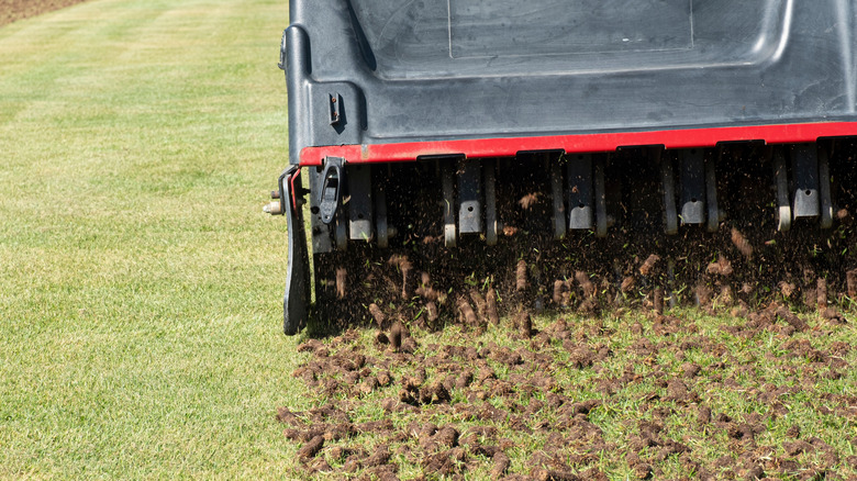 Core aerator digging up plugs green lawn