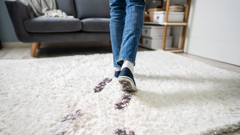person walking on carpet with muddy shoes 