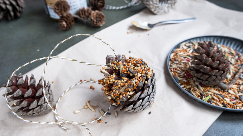 Making pine cone bird feeders