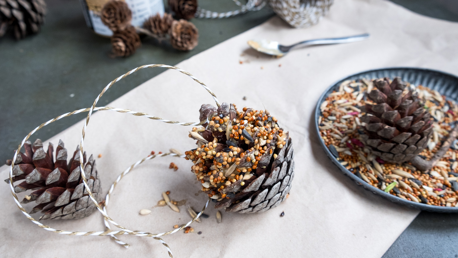 How To Make A Bird Feeder Out Of A Simple Pine Cone This Fall