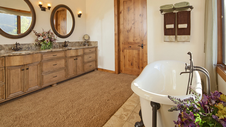 bathroom with a carpet