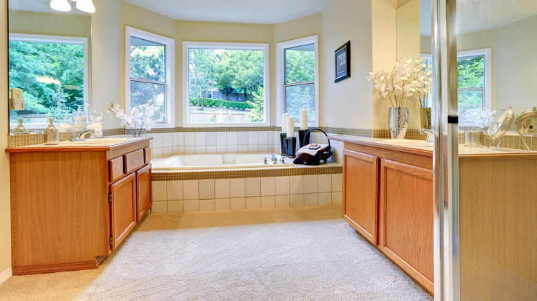 bathroom with a carpet