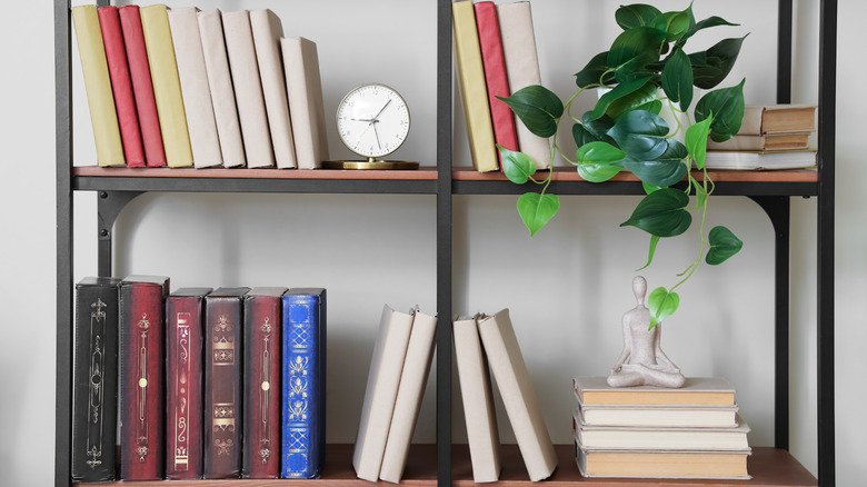 Bookshelves are arranged with books and other objects.