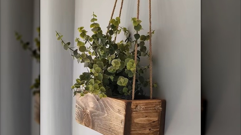 A handmade wooden planter box hangs on a wall by jute rope.