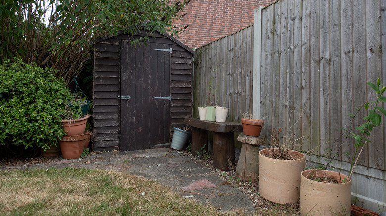Small backyard with shed and pots