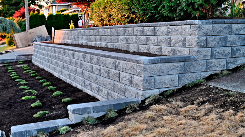 Shrubs and plants in tiered stone beds