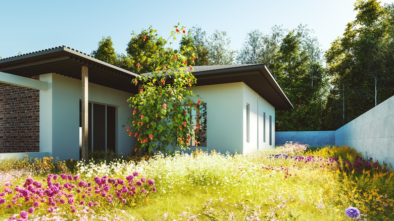 Yard filled with wildflower plantings