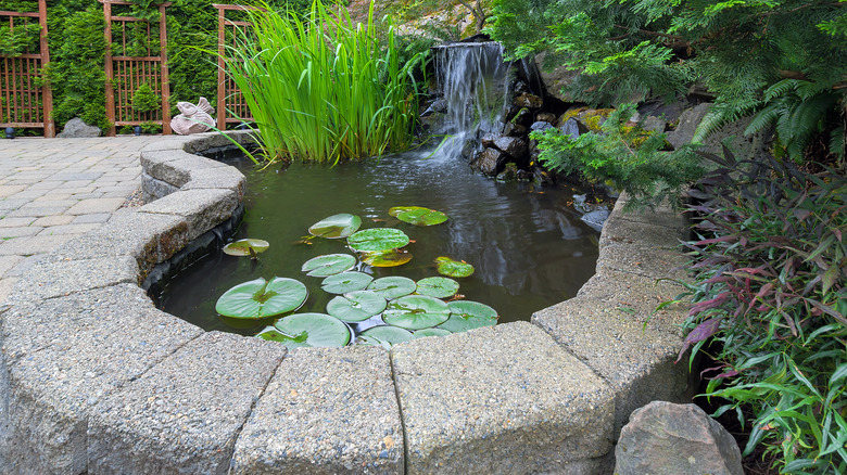 Irregular raised pond