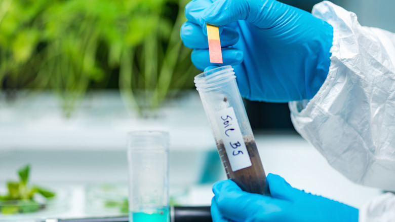 person pH testing toil