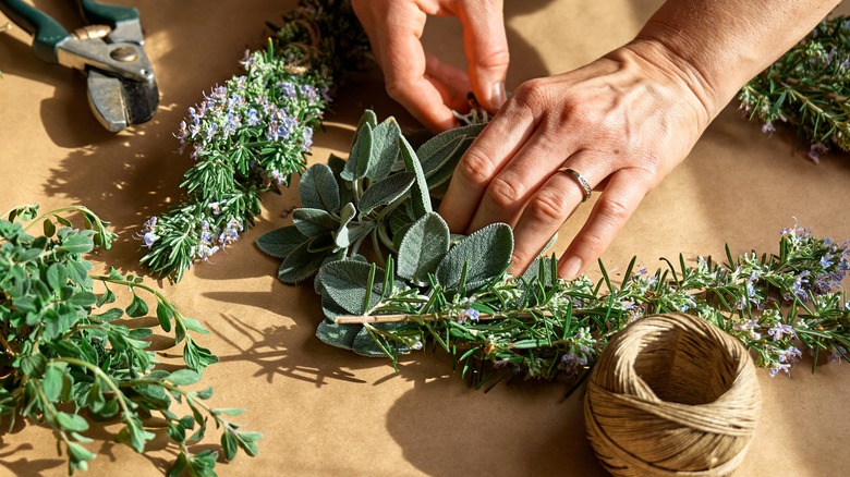 Hands on bundles of fresh herbs with twine and shears