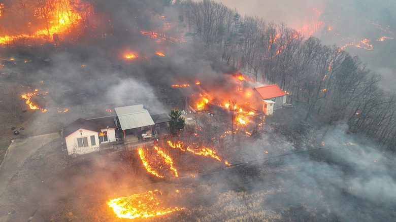 Wildfires surrounding a home