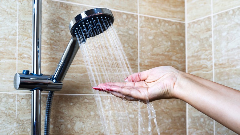 hand feeling shower head water