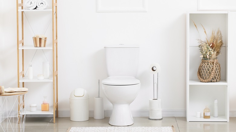 How To Make The Most Of The Space Above Your Toilet