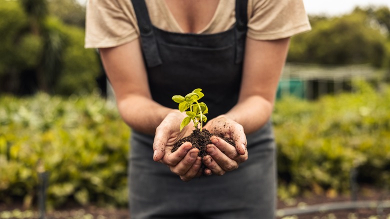 Person working in their garden