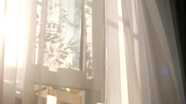 Wind blowing through open window