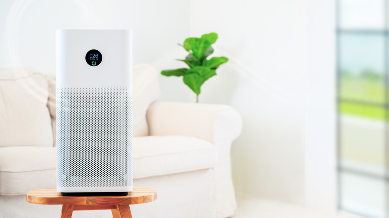 Air purifier removing dust