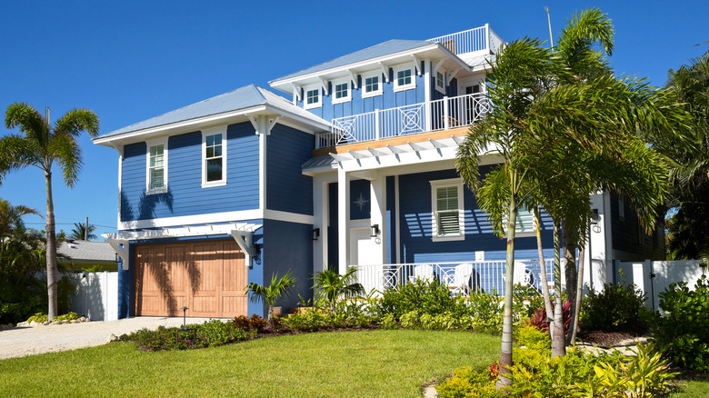 blue house with palm trees