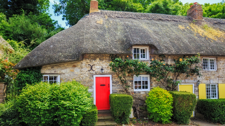 fairytale cottage in trees