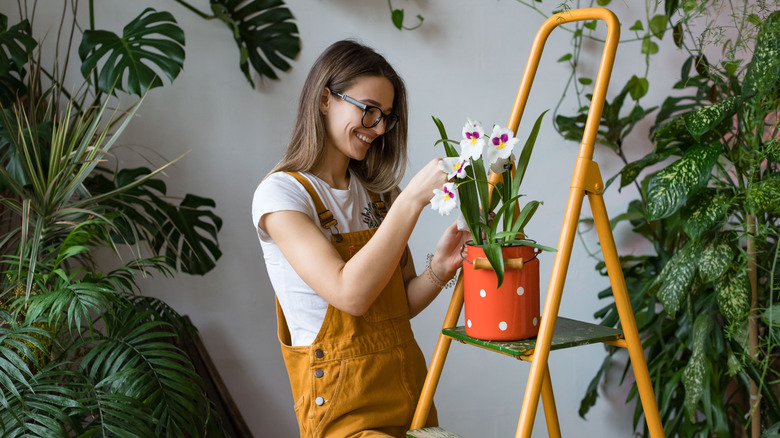 woman caring for an orchid