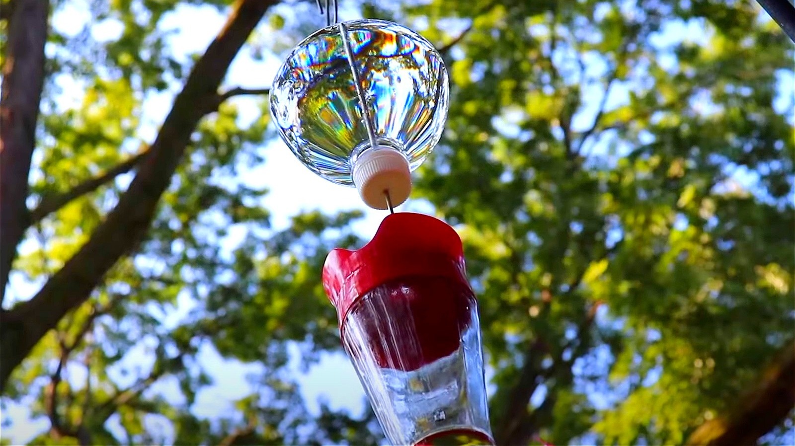 How To Make Your Own Ant Moat To Keep Pests Out Of Your Hummingbird Feeder