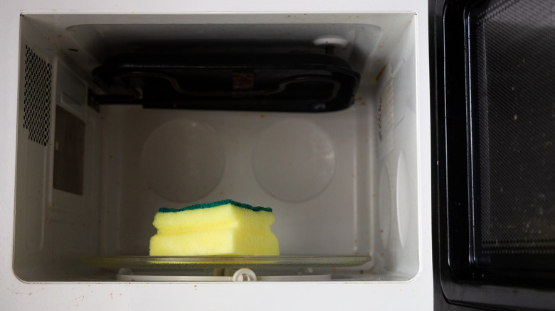 sponge inside a microwave