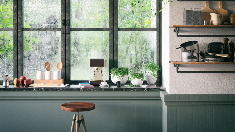 Kitchen window with items on the window sill