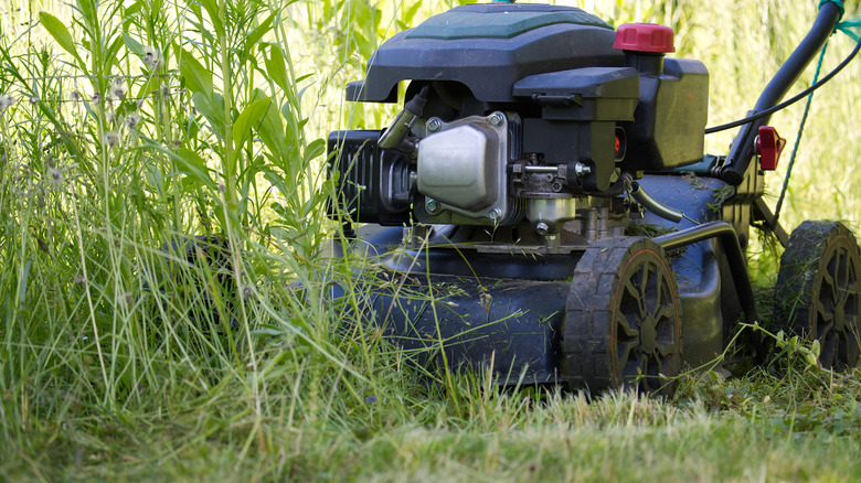 a lawn mower cutting long grass