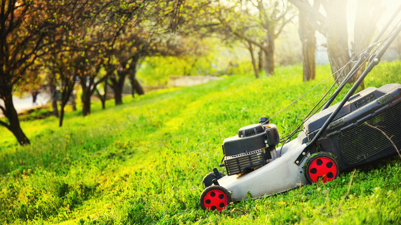 Grey and black lawn mower on a steep slope