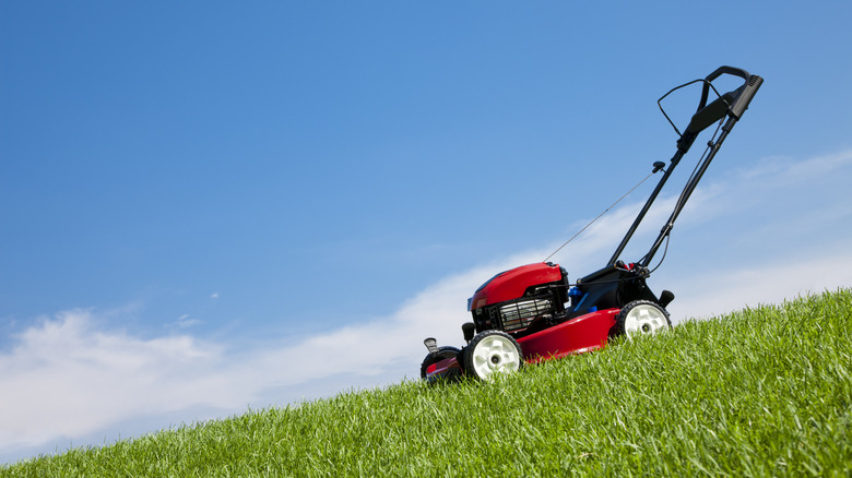 Red push lawn mower on green grass under a clear blue sky