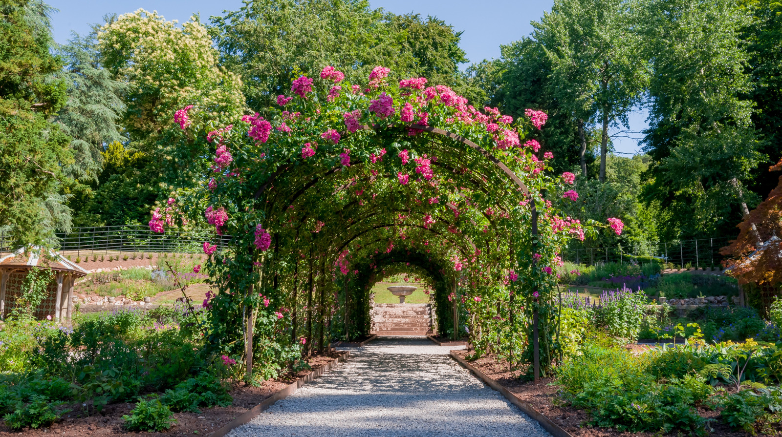 How To Nail The Perfect Measurements On Your Garden Arch Trellis