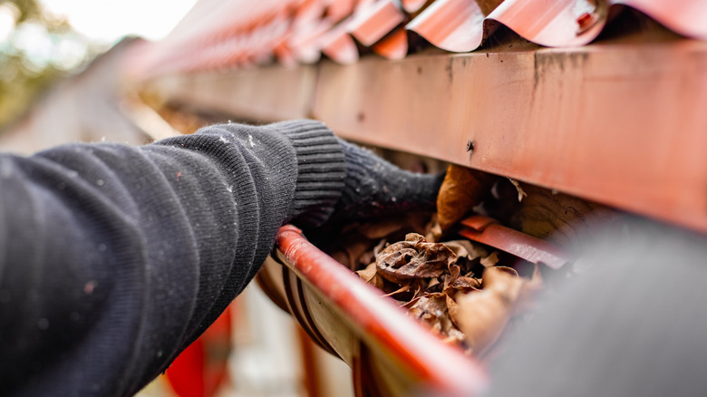 Person cleaning gutters