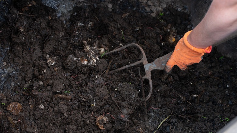 A gardener tills the soil in a garden bed before planting.