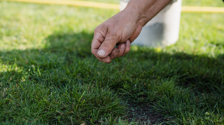 hand spreading grass seed over a lawn