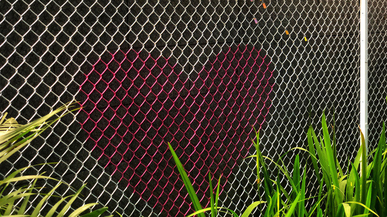 Painted heart on chain link fence