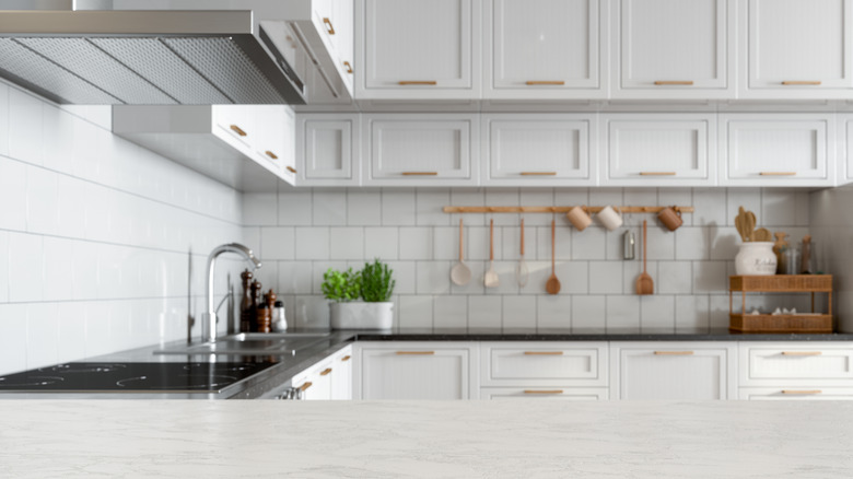 Under-cabinet range hood 