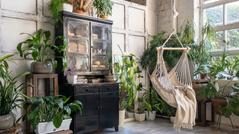 Rope hammock surrounded by plants